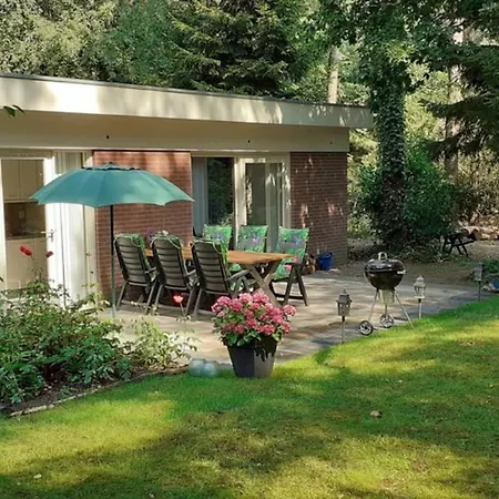 Drentse Bungalow In Natuur En Rust Spier Exterior photo