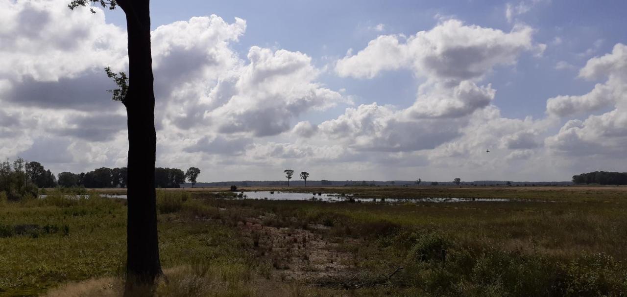 Holiday home Drentse In En Rust *