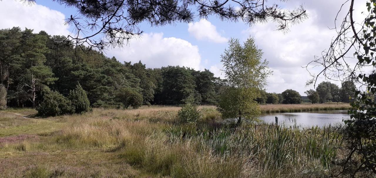 Drentse In En Rust * Spier